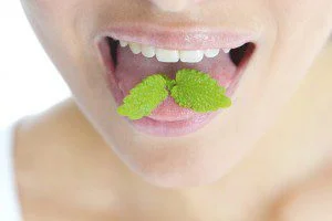 Close-up of mouth with mint leaves.